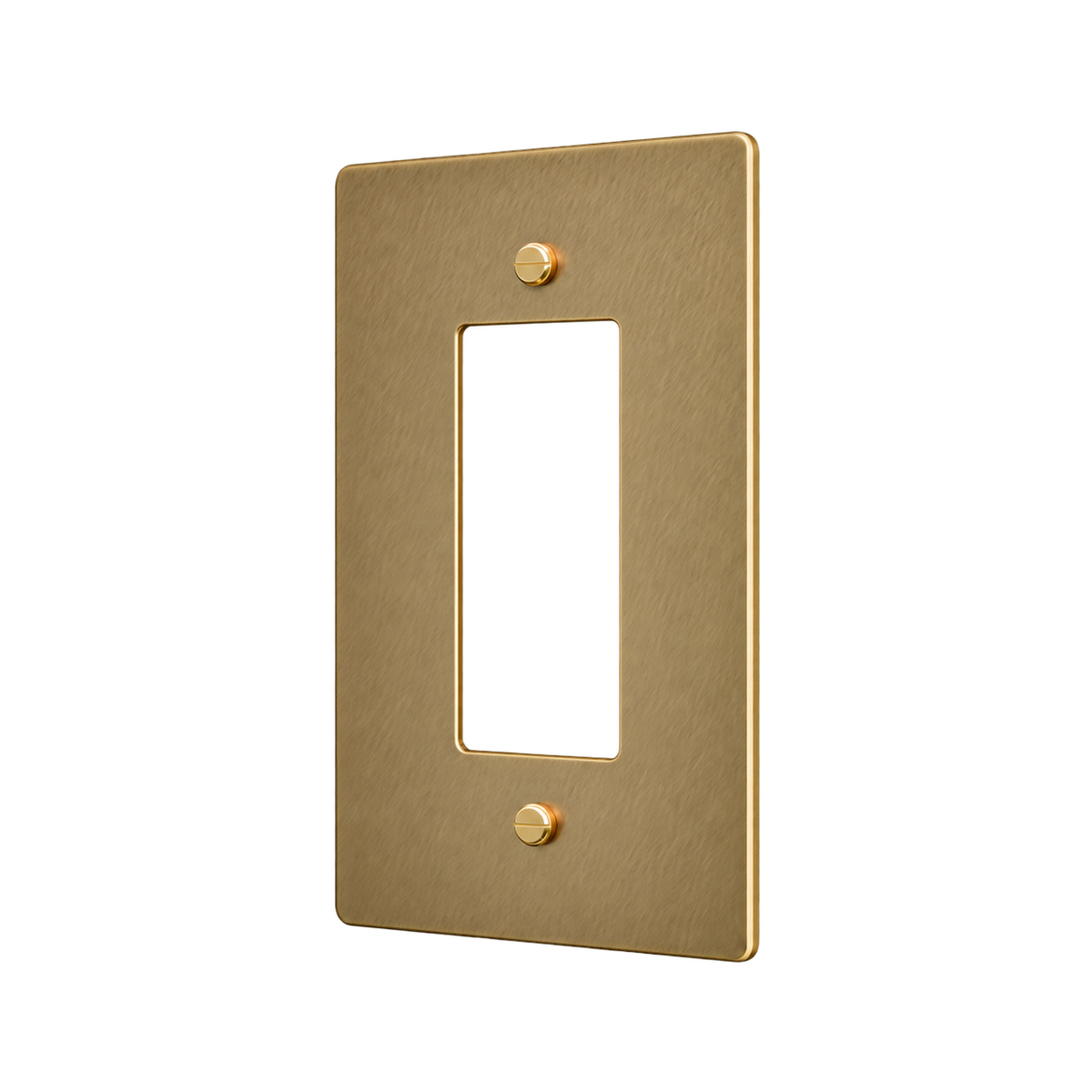 Brass Home Supply 1-Gang Brass Outlet Cover in Unlacquered Antique Brass (Hand-Brushed)