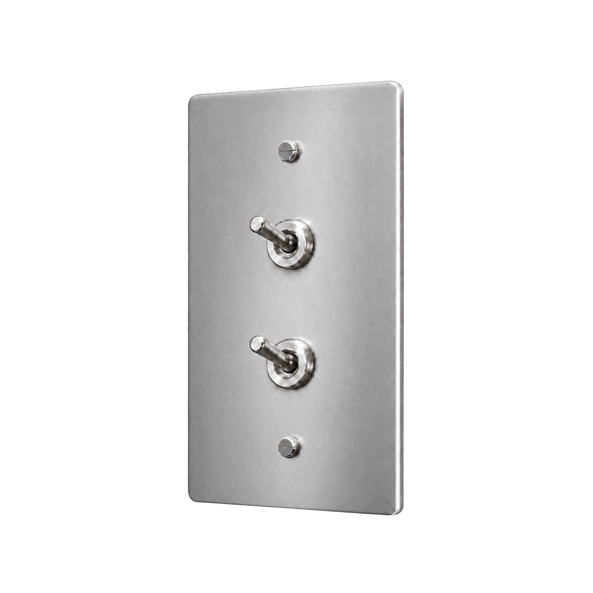 Double Retro Brass Toggle Switch Plate — 1-Gang — Stainless Steel