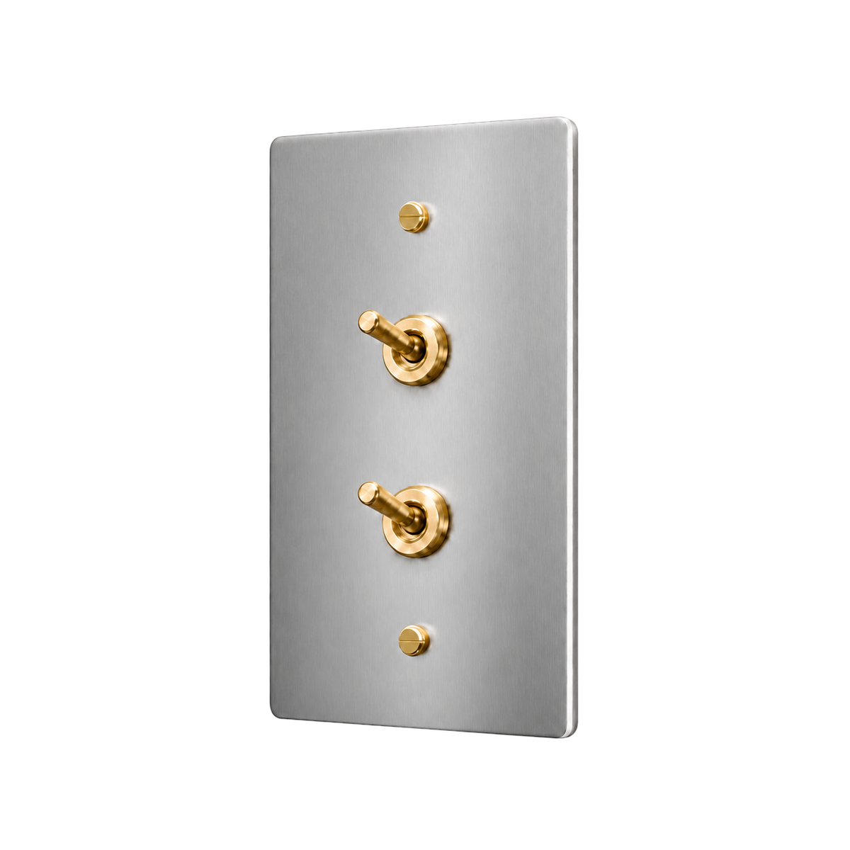 Double Retro Brass Toggle Switch Plate — 1-Gang — Stainless Steel & Brass