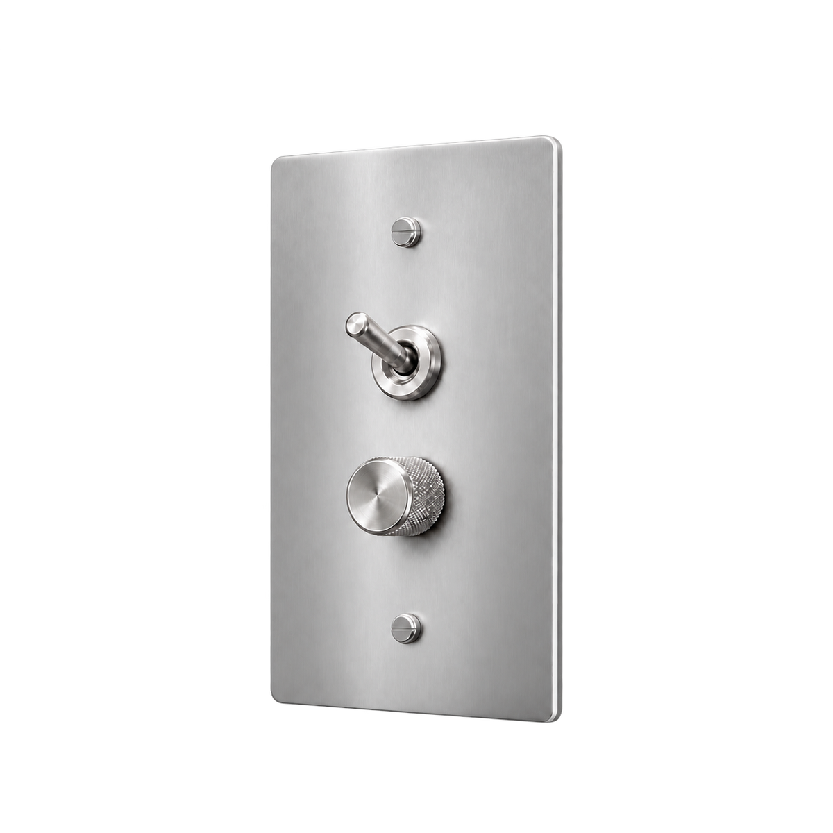 Retro Brass Toggle & Dimmer Plate — 1-Gang — Stainless Steel