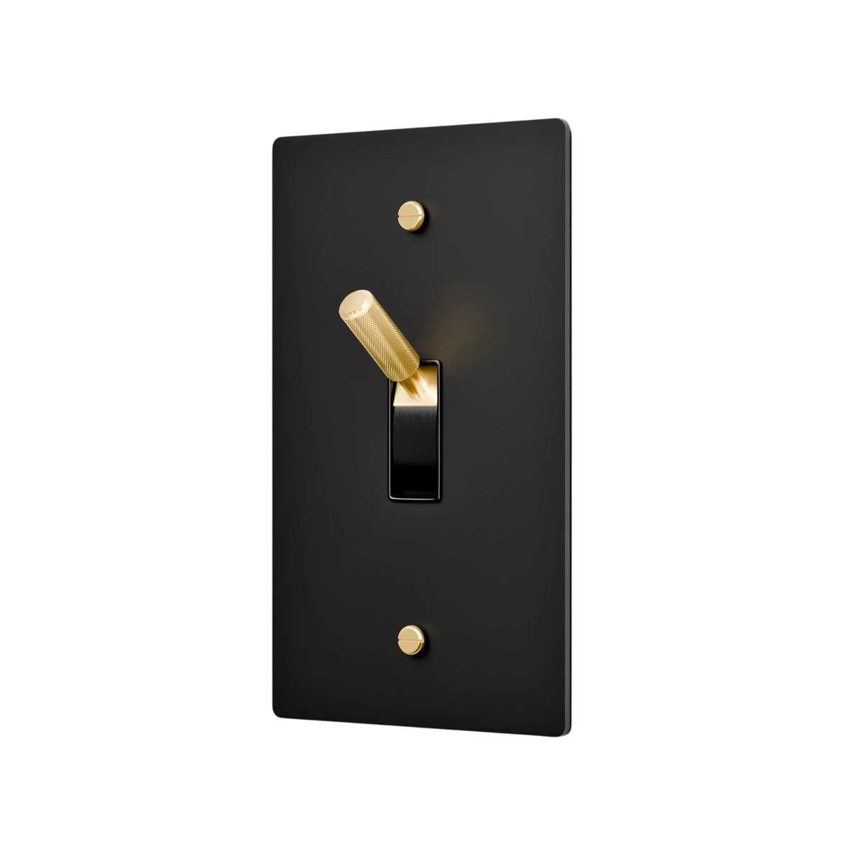 Black light switch cover with gold toggle and screws on a white background