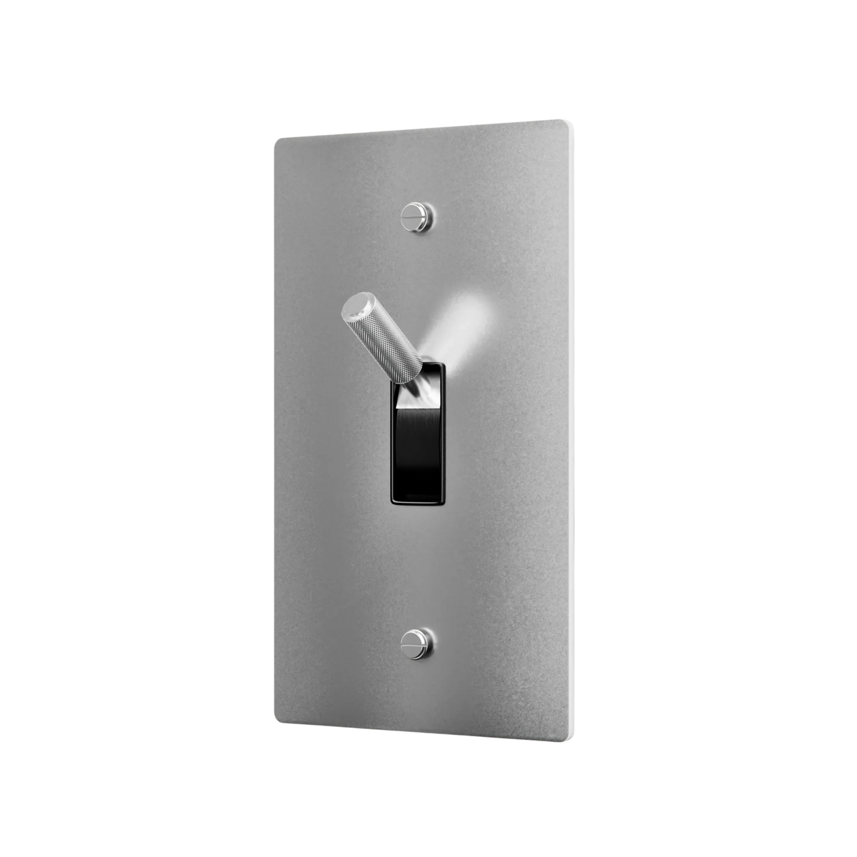 Metallic light switch plate with a toggle switch on a white background