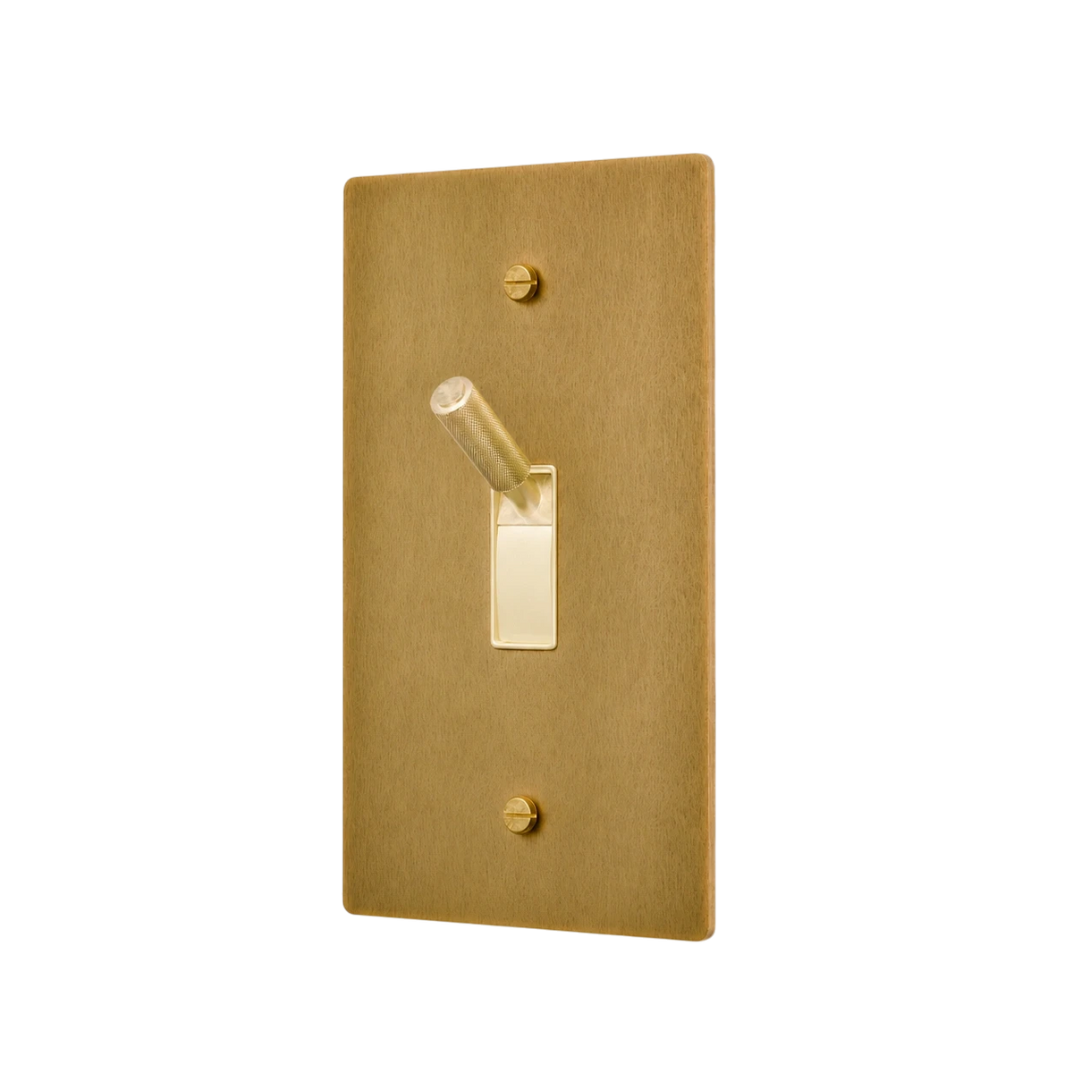 Gold light switch plate with a toggle switch on a white background