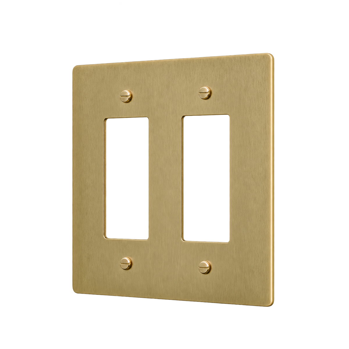 Brass Home Supply 2-Gang Brass Outlet Cover in Antique Brass (Hand-Brushed)