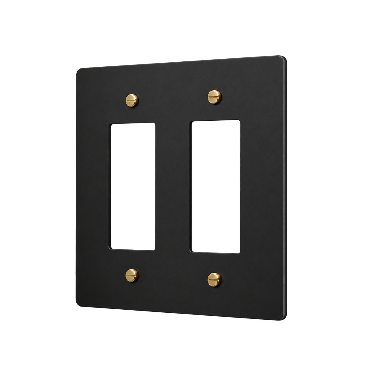 Brass Home Supply 2-Gang Brass Outlet Cover in Matte Black