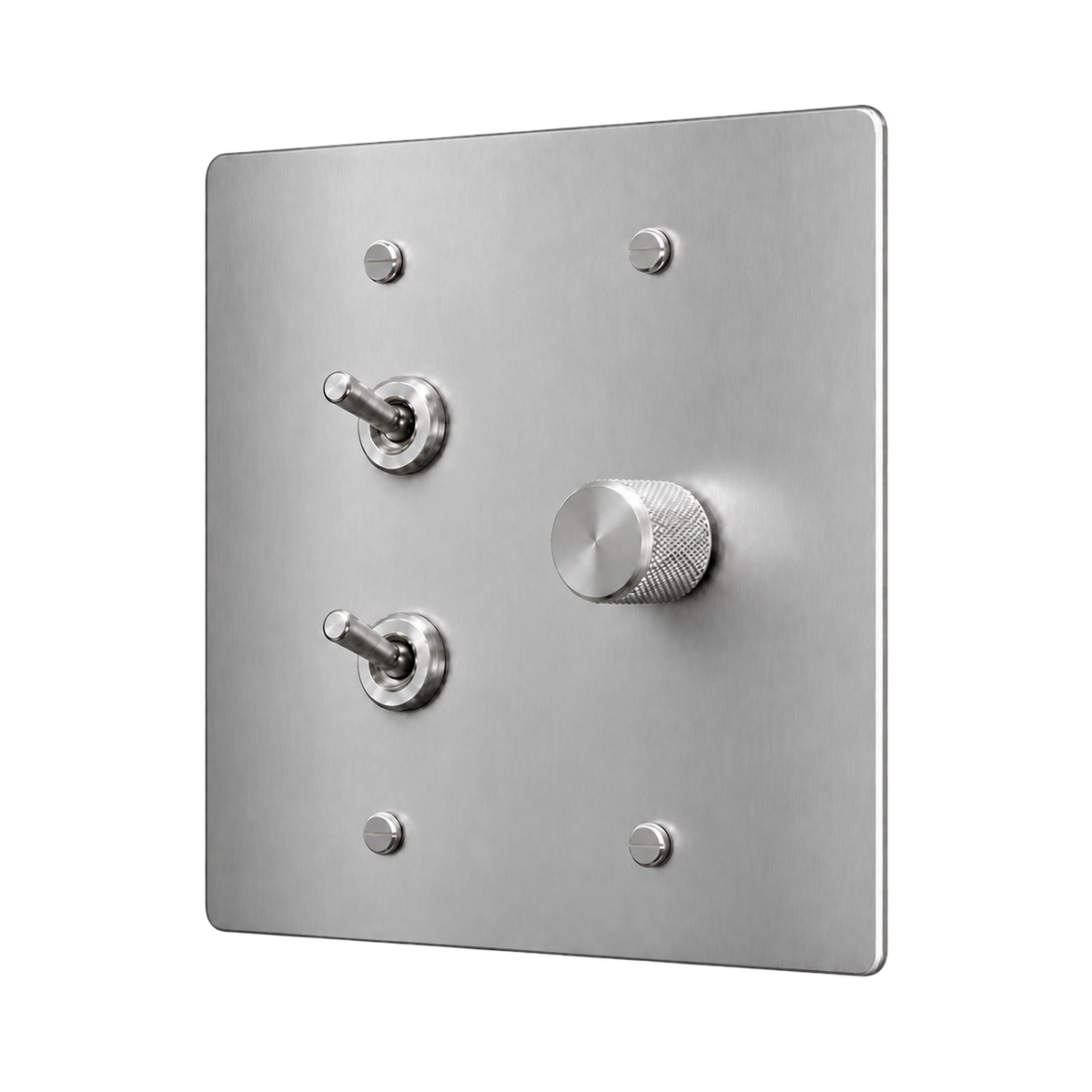 Double Retro Brass Toggle & Dimmer Plate — 2-Gang — Stainless Steel