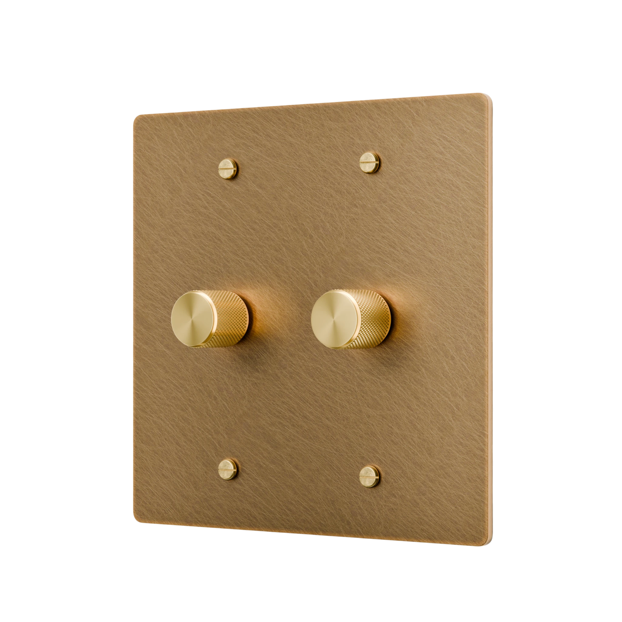 unlacquered brass switch plate with two knobs on a white background