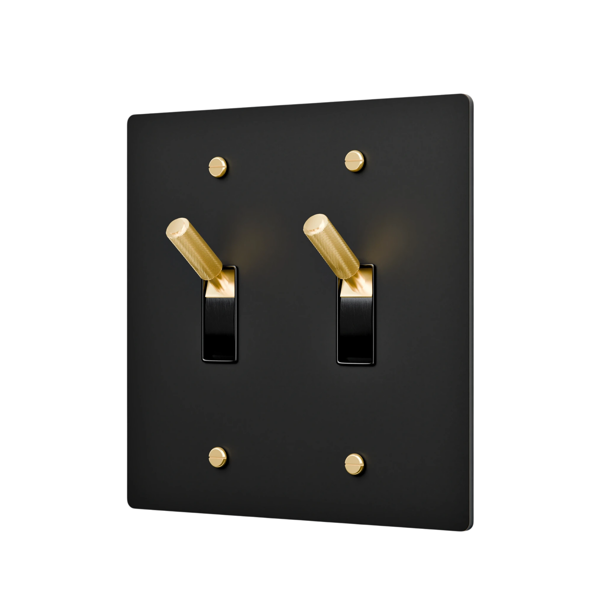 Black and gold double switch plate on a white background