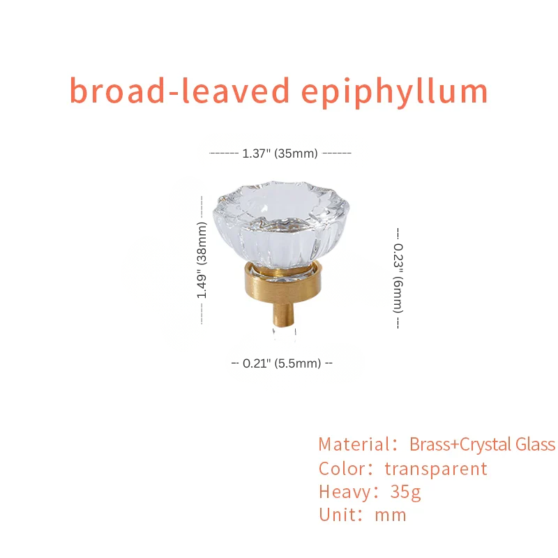 Clear crystal glass cabinet knob with brass base and dimensions on a white background