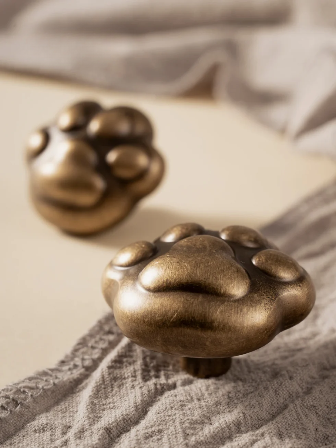Bronze paw-shaped knobs on a textured surface
