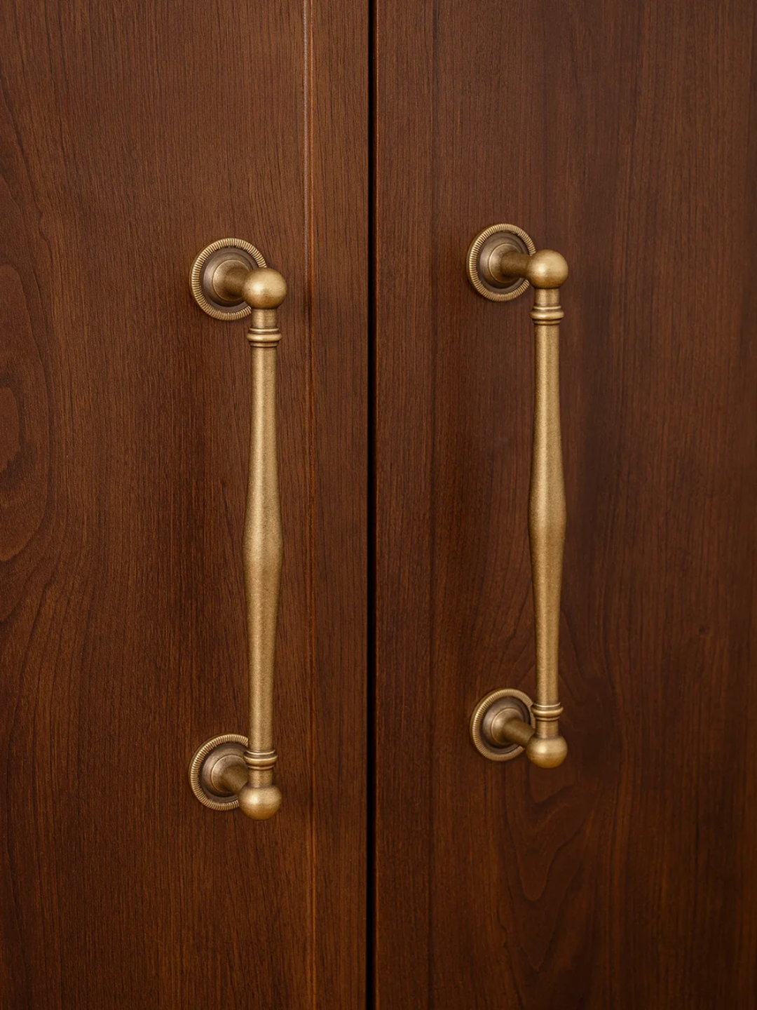 Pair of wooden doors with brass handles