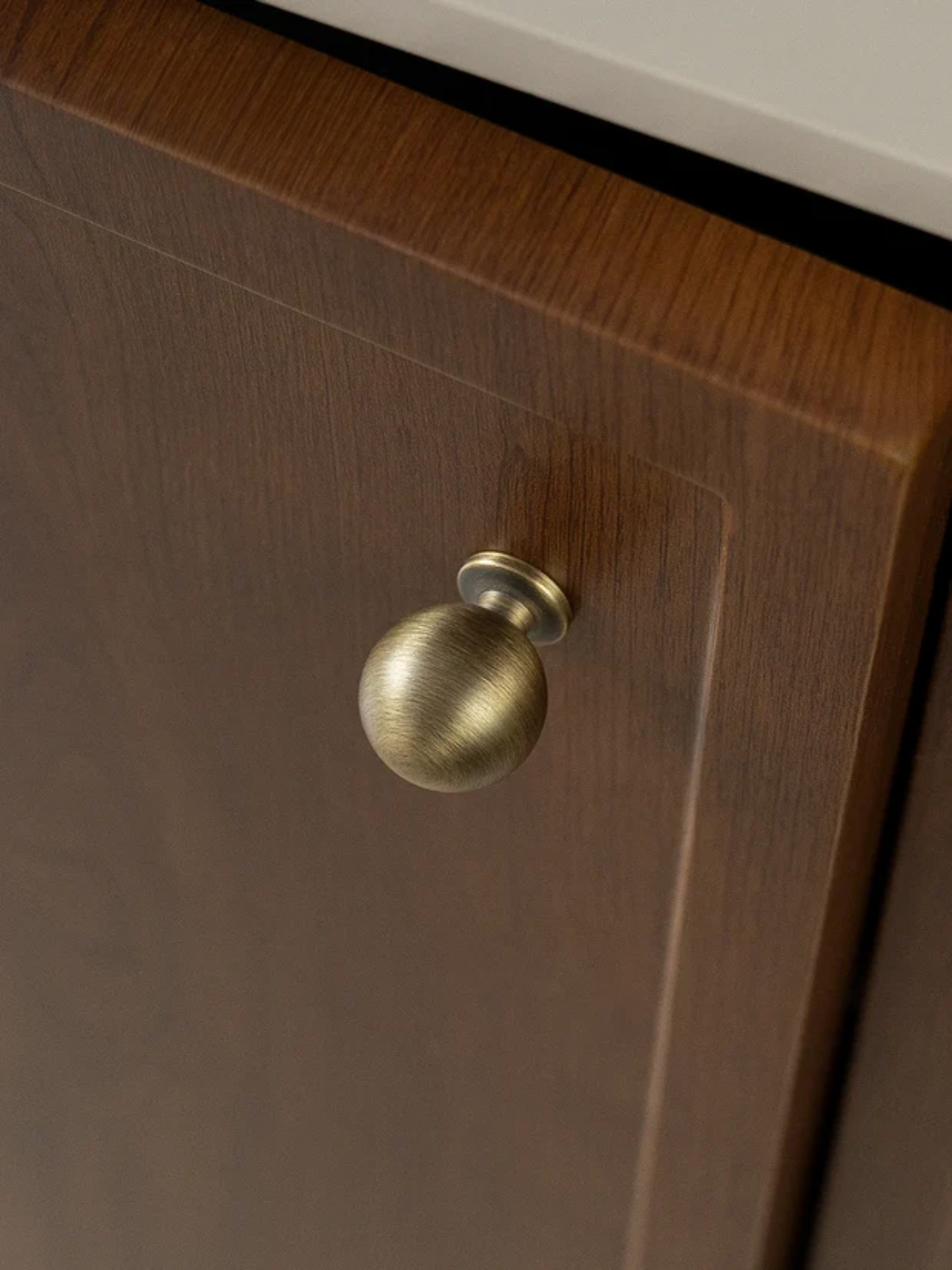 Wooden cabinet door with a brass knob