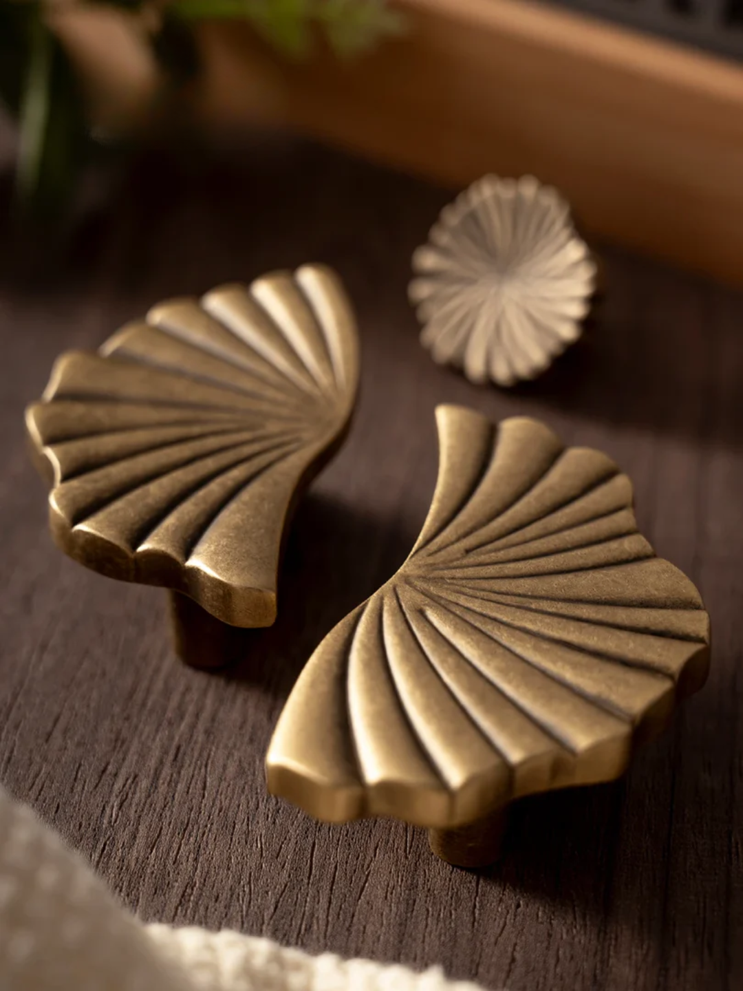 Brass shell-shaped objects on a wooden surface