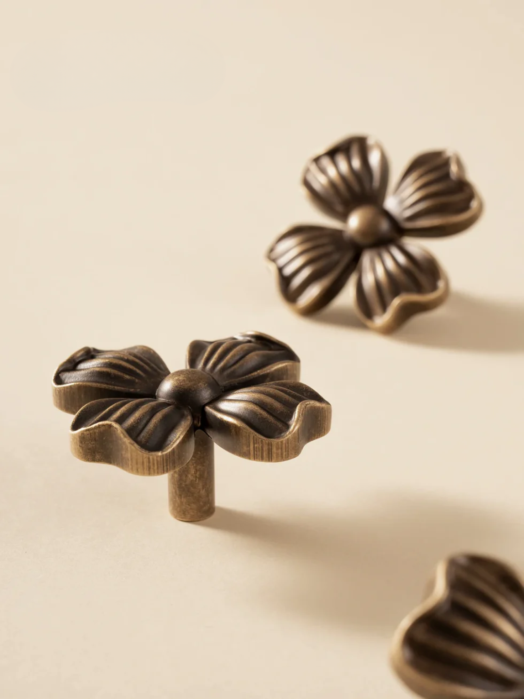 Bronze floral-shaped knobs on a beige background