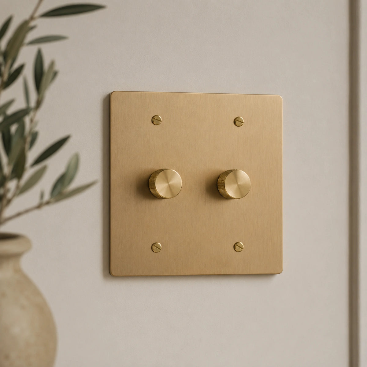 Switches & outlets