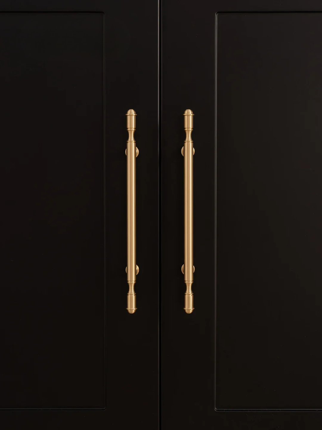 Black cabinet doors with gold handles on a black background
