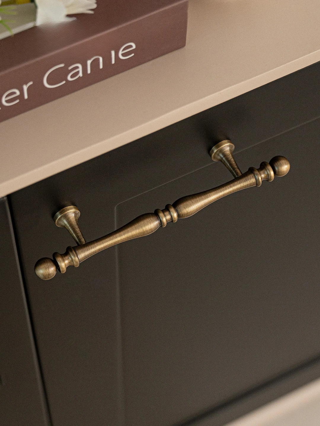Brass cabinet handle on a dark wooden drawer with 'Roder Canie' branding.
