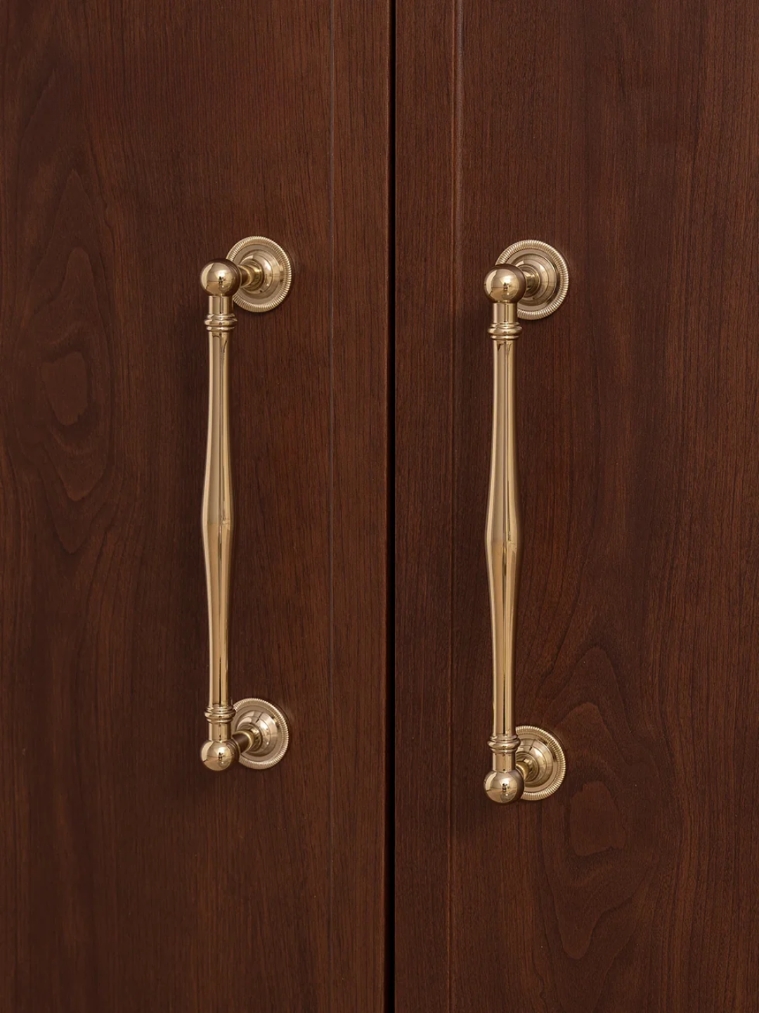 Pair of brass cabinet handles on wooden doors