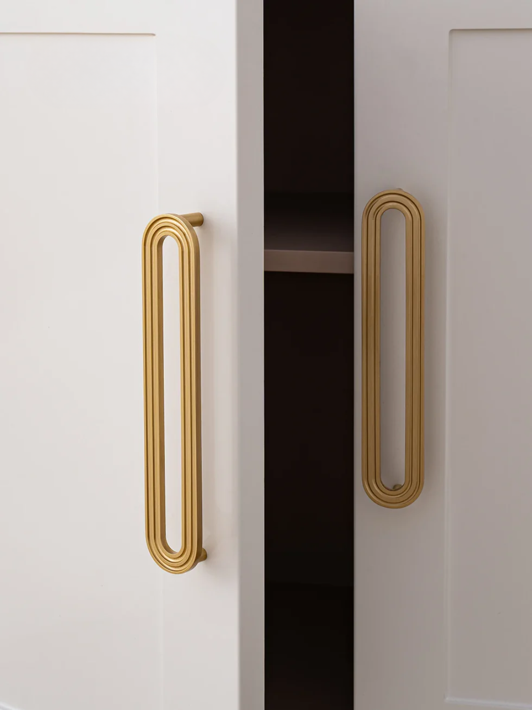 Cabinet doors with gold handles on a neutral background