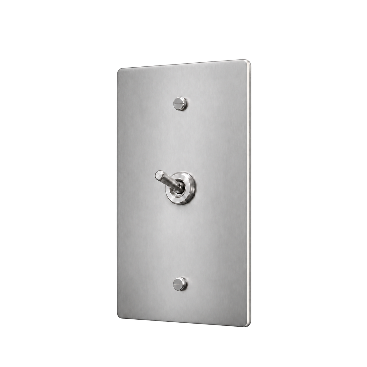 Brass Home Supply Brass Retro Toggle Switch Plate — 1-Gang in Stainless Steel