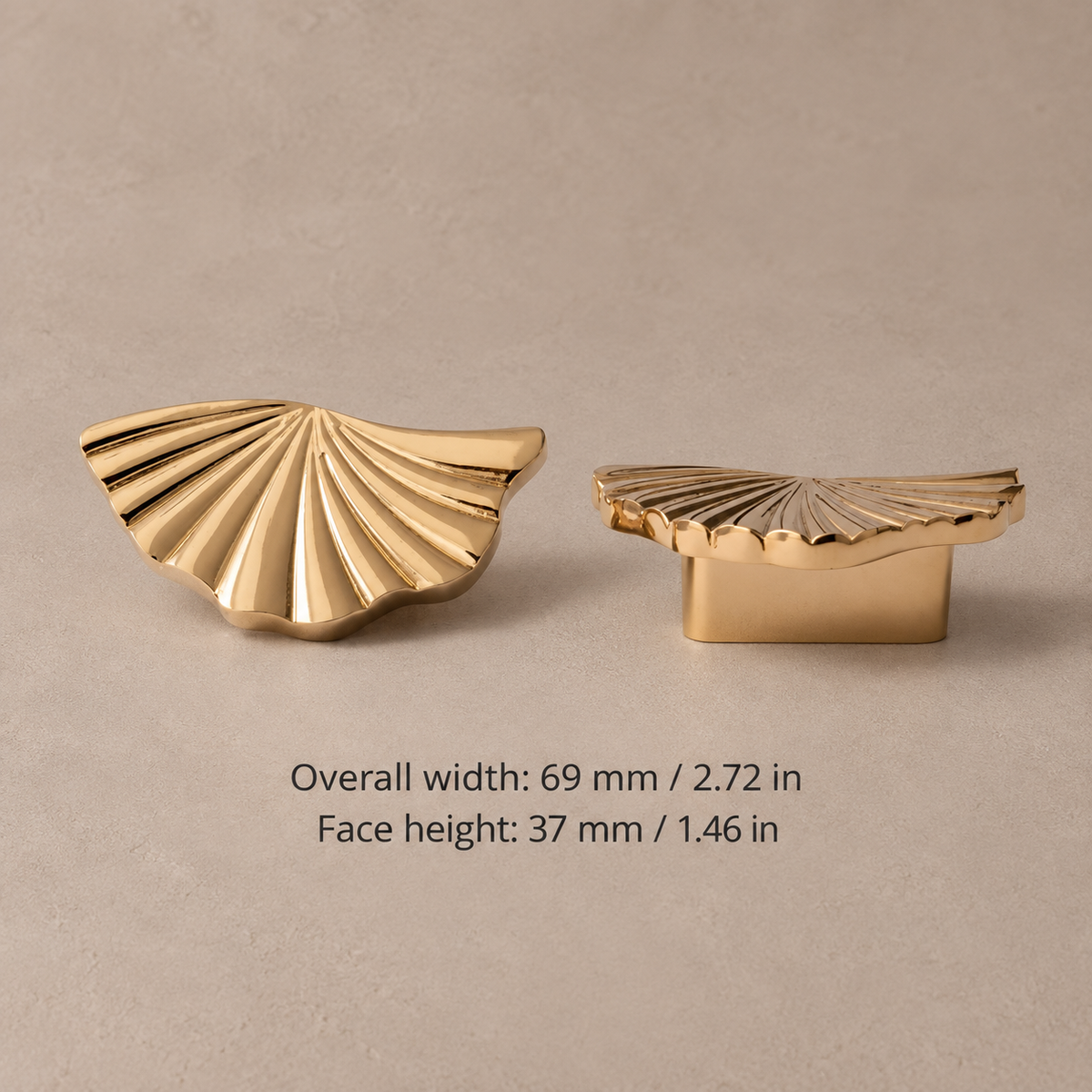 Brass Cabinet Knob — Multi-Finish (PVD Gold & Chrome) — fan-pvd